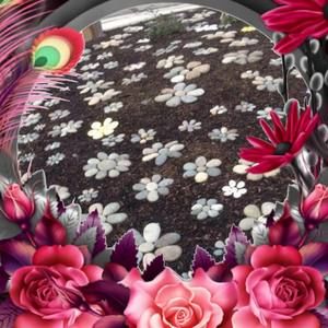 Meet your Posher, Doris